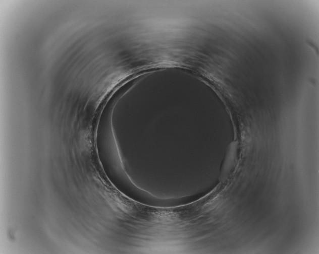 X0000102241170200808011241