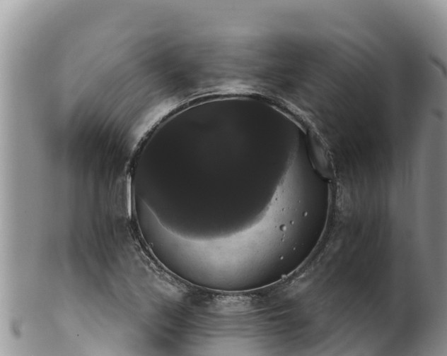 X0000102241171200808011241