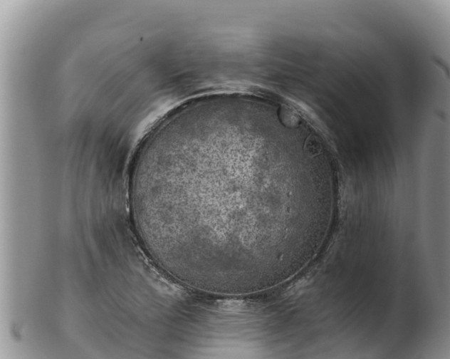 X0000102241172200808011241