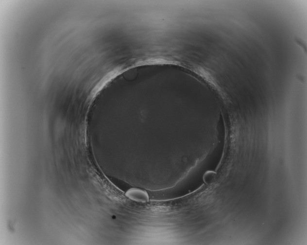 X0000102241173200808011241