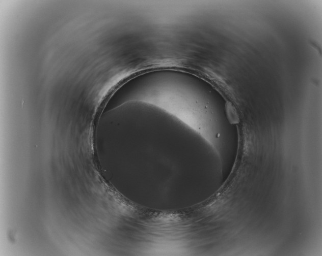 X0000102241174200808011241