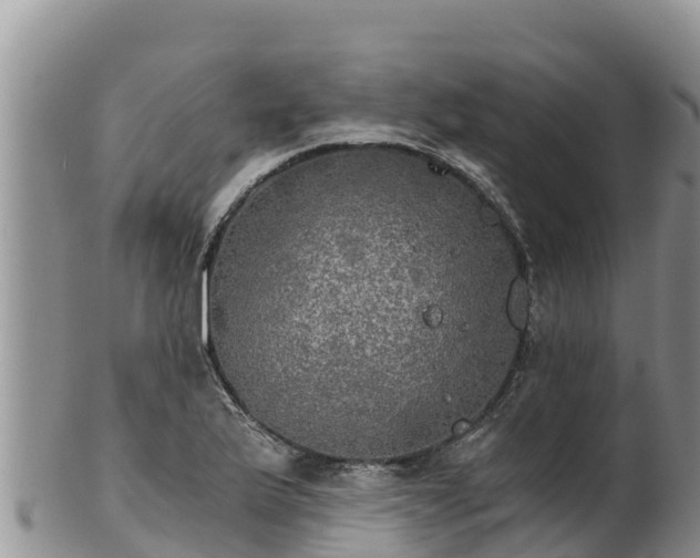 X0000102241175200808011241