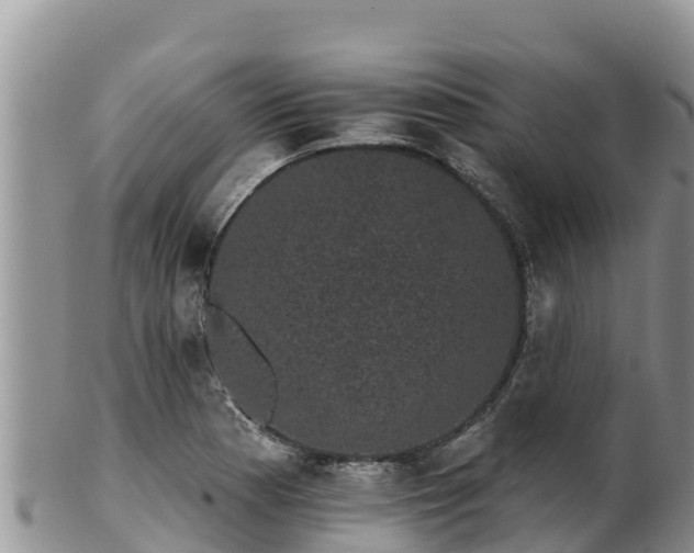 X0000102241177200808011241