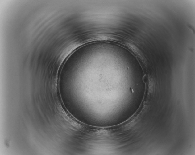 X0000102241178200808011241