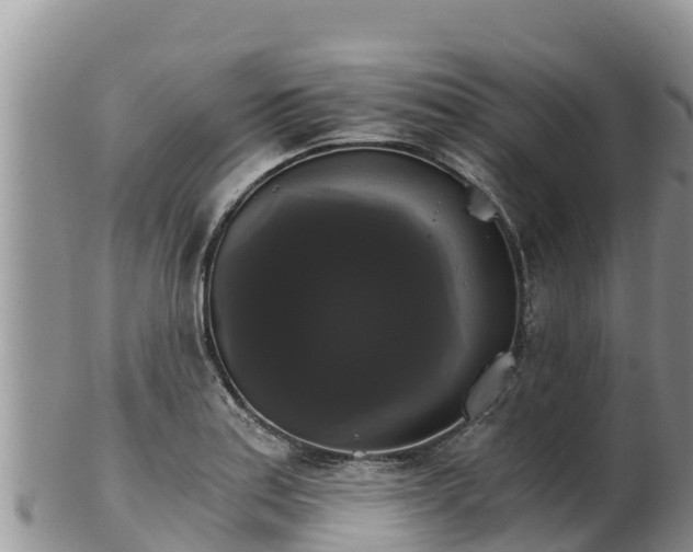 X0000102241179200808011241