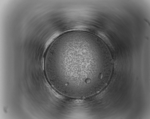 X0000102241180200808011241