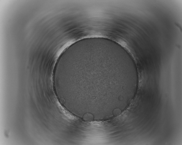 X0000102241181200808011241