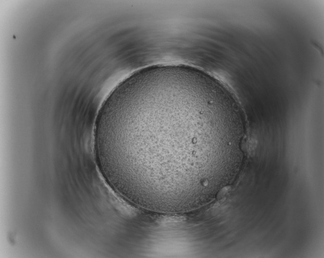 X0000102241183200808011241