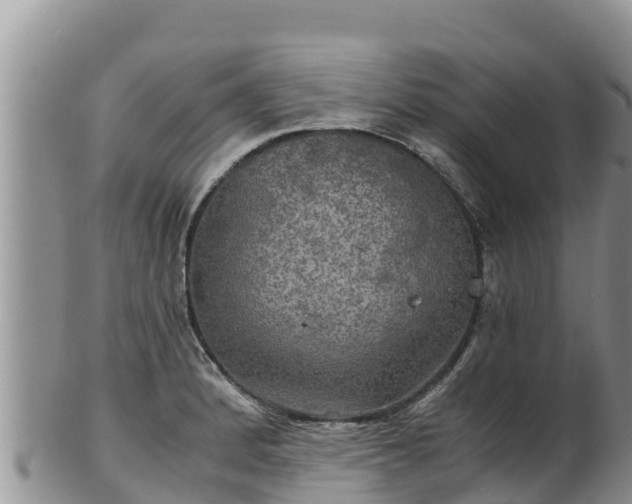 X0000102241184200808011241