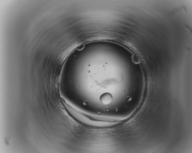 X0000102241185200808011241