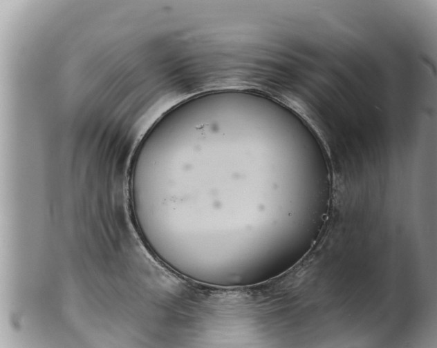 X0000102241187200808011241