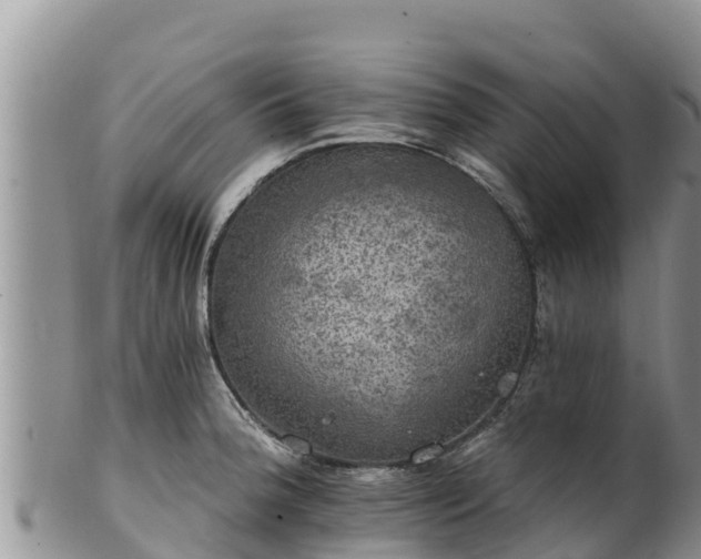 X0000102241188200808011241