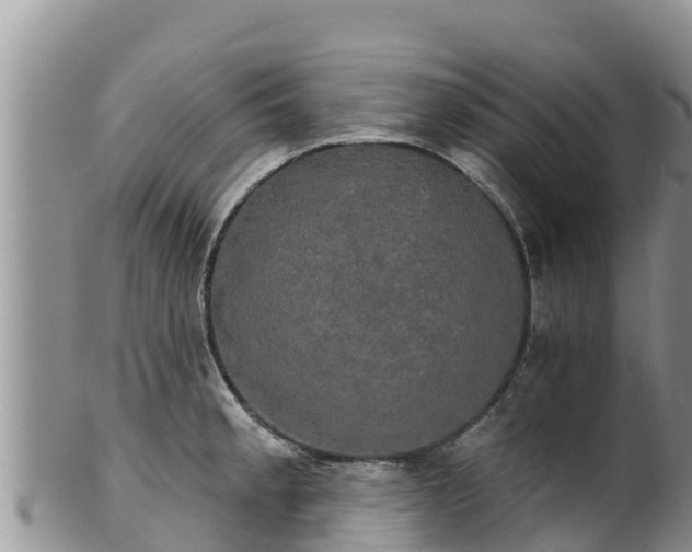 X0000102241189200808011241