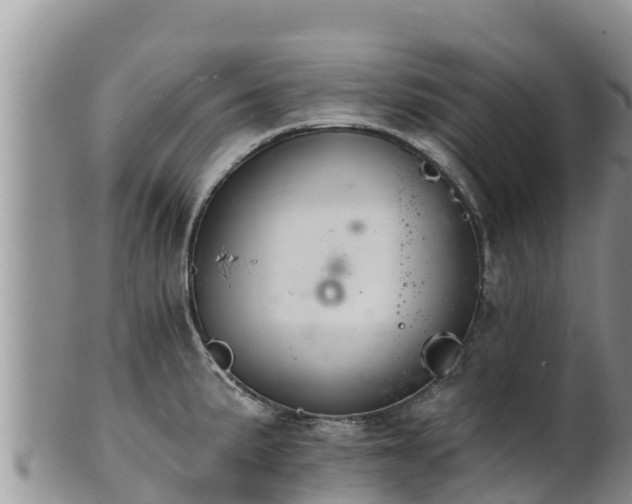 X0000102241191200808011241