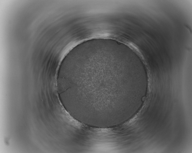 X0000102241192200808011241