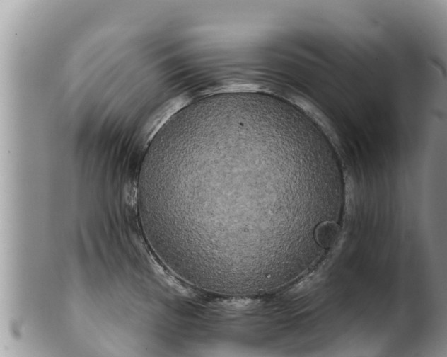 X0000102241193200808011241