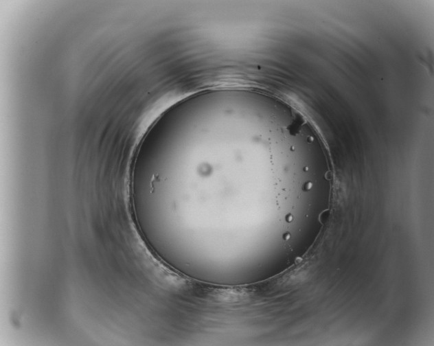 X0000102241195200808011241