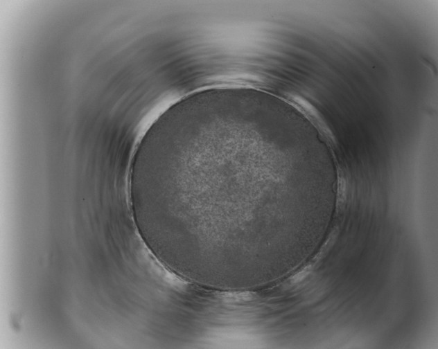 X0000102241196200808011241