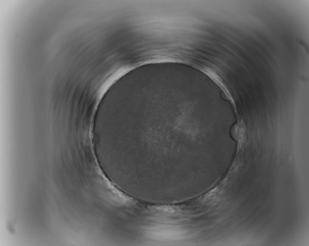 X0000102241197200808011241