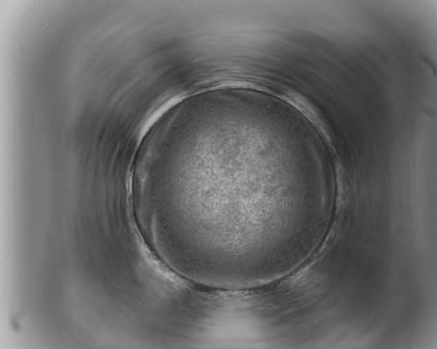 X0000102241198200808011241