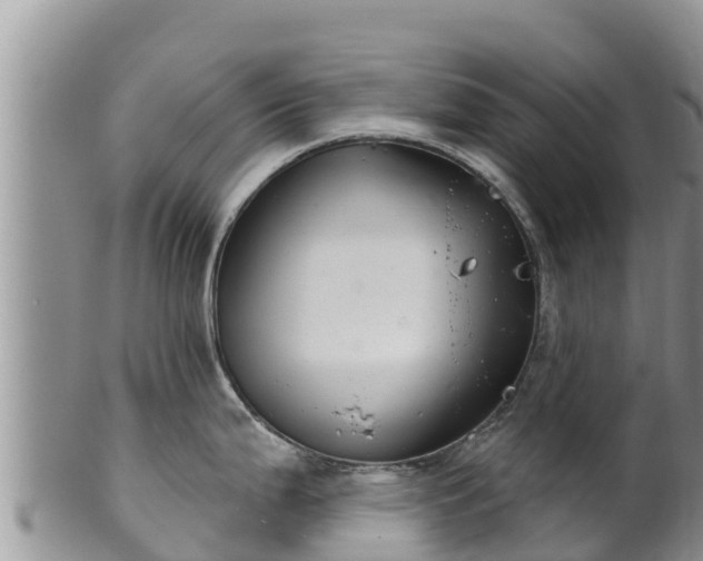 X0000102241199200808011240