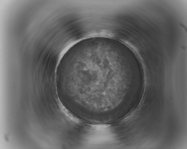 X0000102241200200808011240