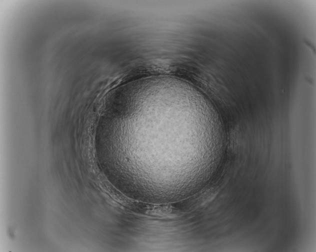 X0000102241201200808011240