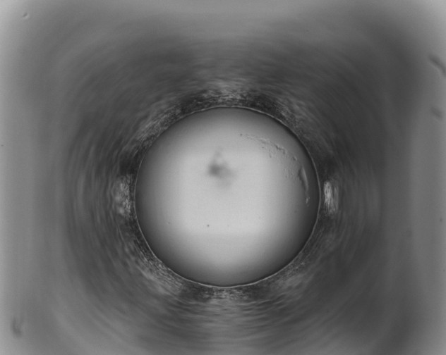 X0000102241203200808011240