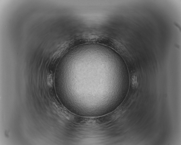 X0000102241204200808011240