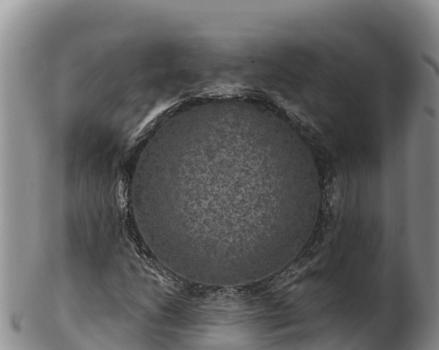 X0000102241206200808011240