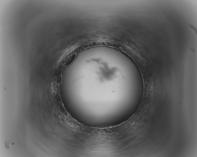 X0000102241207200808011240