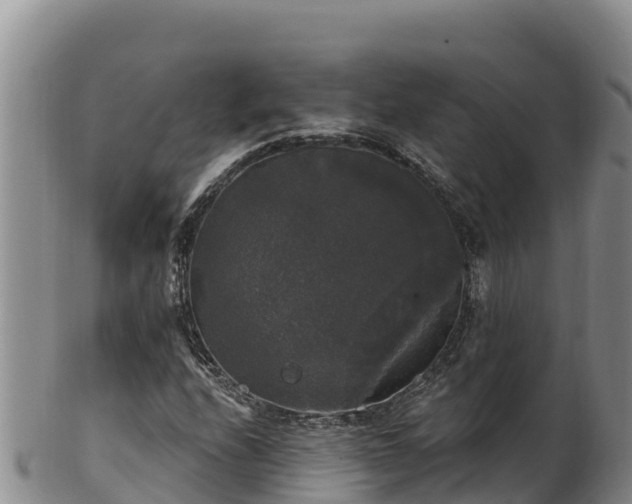 X0000102241208200808011240