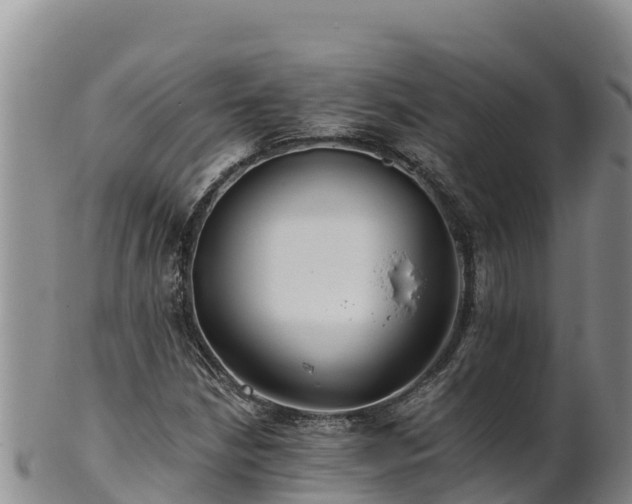 X0000102241210200808011240