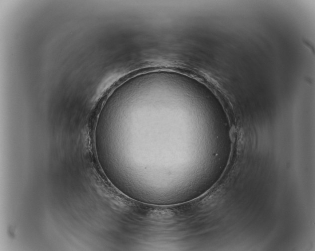 X0000102241215200808011240