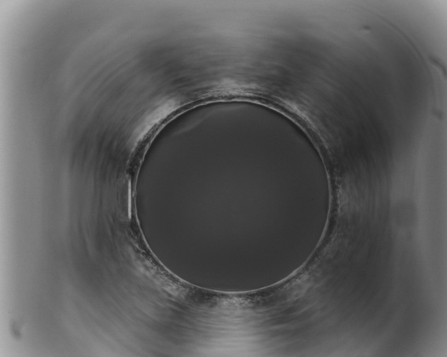 X0000102241219200808011240