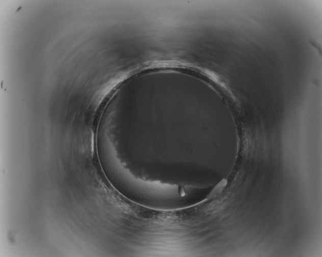 X0000102241221200808011240