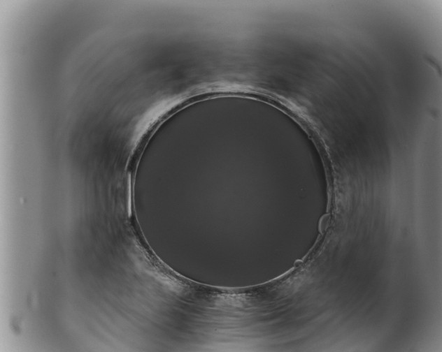 X0000102241223200808011240