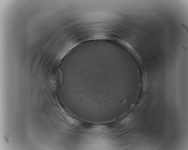 X0000102241225200808011240