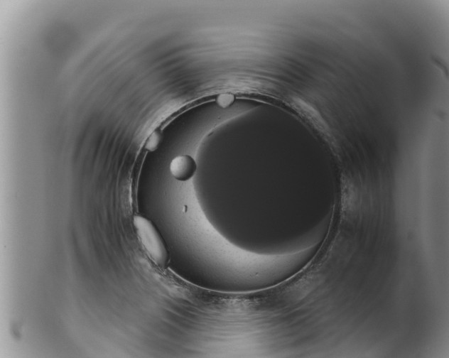 X0000102241226200808011240