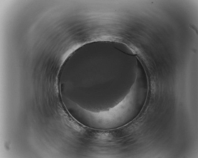 X0000102241230200808011240