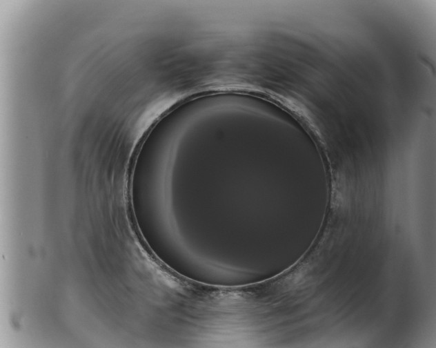 X0000102241231200808011240