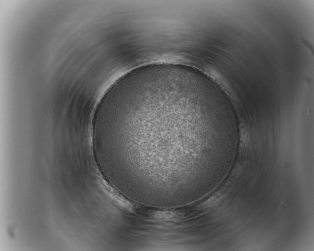 X0000102241232200808011240