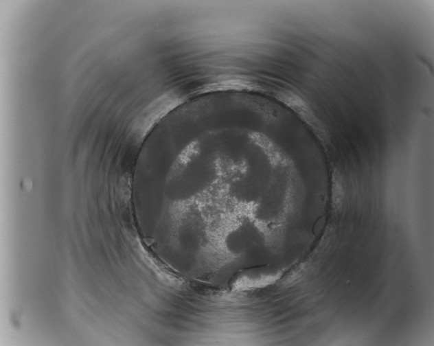 X0000102241233200808011240