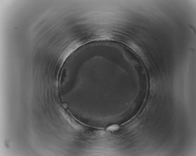 X0000102241234200808011240