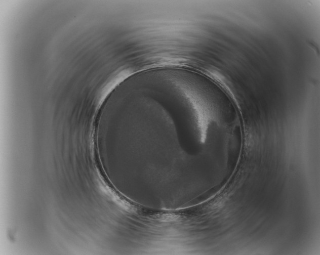 X0000102241235200808011240