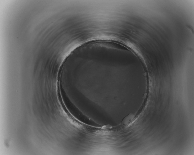 X0000102241237200808011240