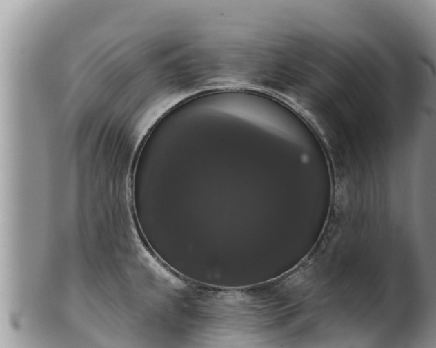 X0000102241239200808011240