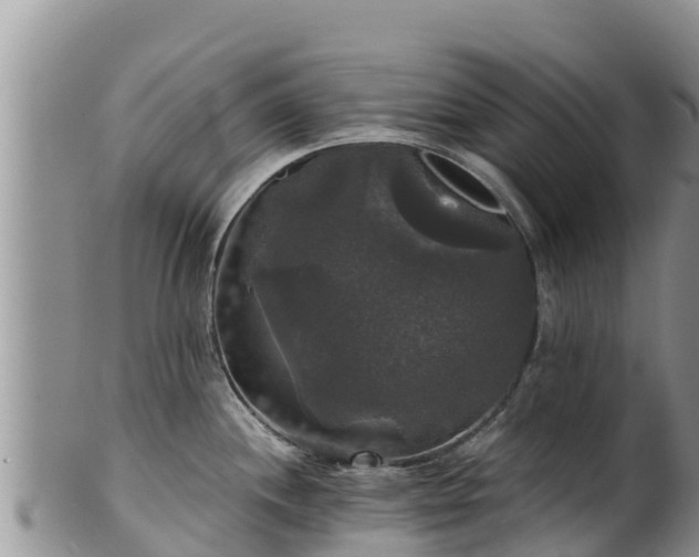 X0000102241244200808011240