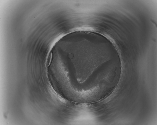 X0000102241248200808011240