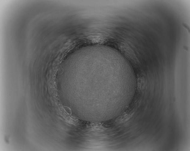 X0000102241249200808011240